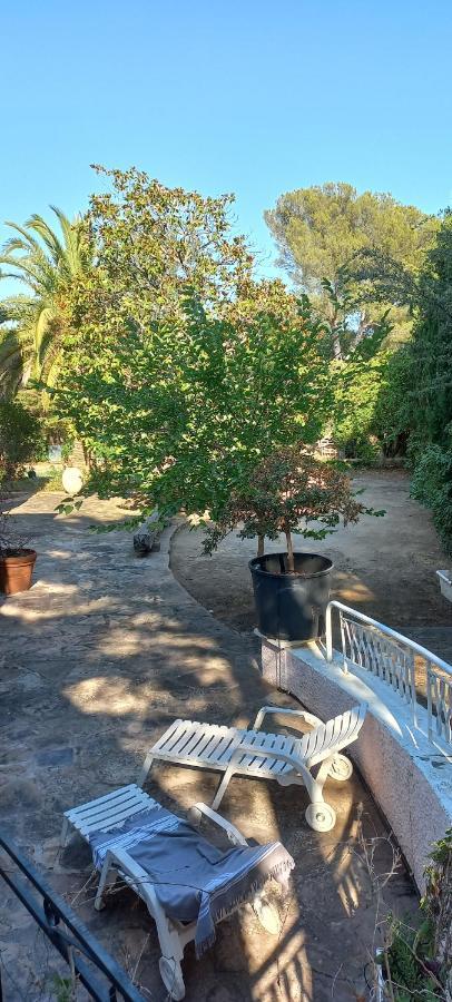 Appartement et sa grande terrasse en Rez de Jardin Saint Aygulf Extérieur photo